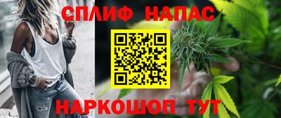 мяу мяу мука Будённовск